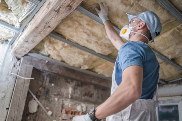 Best Insulation for Specific Applications in Orange Beach, AL